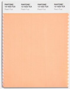 Peach Fuzz Pantone's Color of the Year 2024
