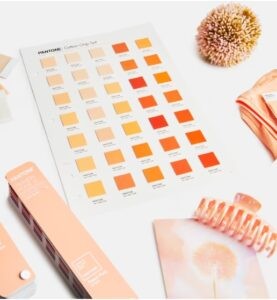 Pantene Color Chips for Peach Fuzz 2024 Color of the Year